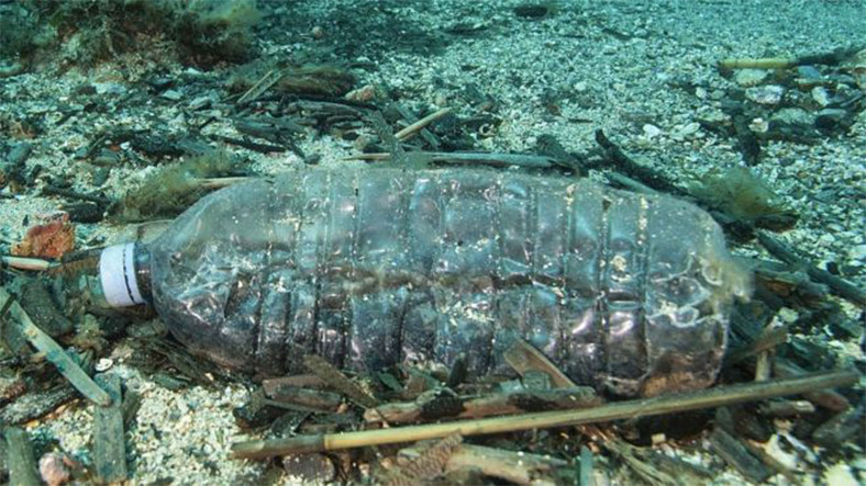 Doğal Hayatı Koruma Vakfı Akdeniz Kirlilik Raporunu Açıkladı