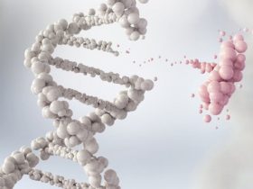 Lupus Hastalığına Mutasyona Uğramış Genler Neden Oluyor