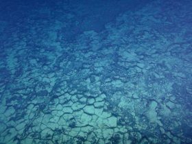 Okyanus Suları, Dünya'nın Mantosuna Batıyor
