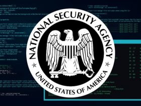 Ulusal Güvenlik Ajansı'nın Hackleme Programı Çalındı