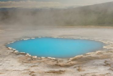 Bilim İnsanları, Evrimin Daha Önceki Adımlarını Açıkladı