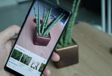 Google Lens Artık Sanat Tabloları Hakkında Bilgi Veriyor