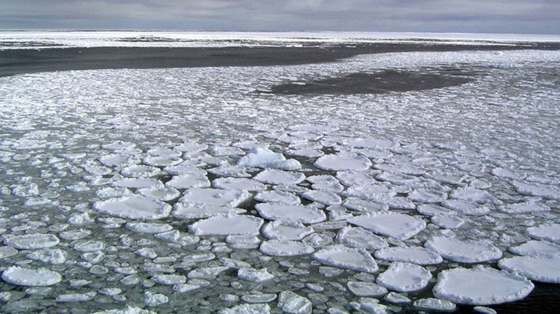 Güney Kutbu Buzulların Erime Hızı Büyük Artış Gösterdi