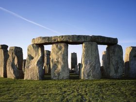 Stonehenge'in Yapımında Domuz Yağı Kullanılmış Olabilir