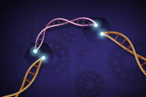 İnsan Genetiğindeki Son Keşifler ve Uygulamaları