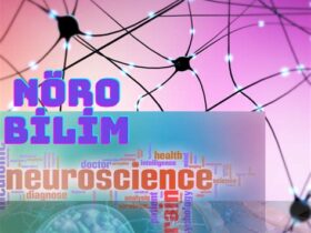 Nörobilim ve Beyin Araştırmalarının Geleceği